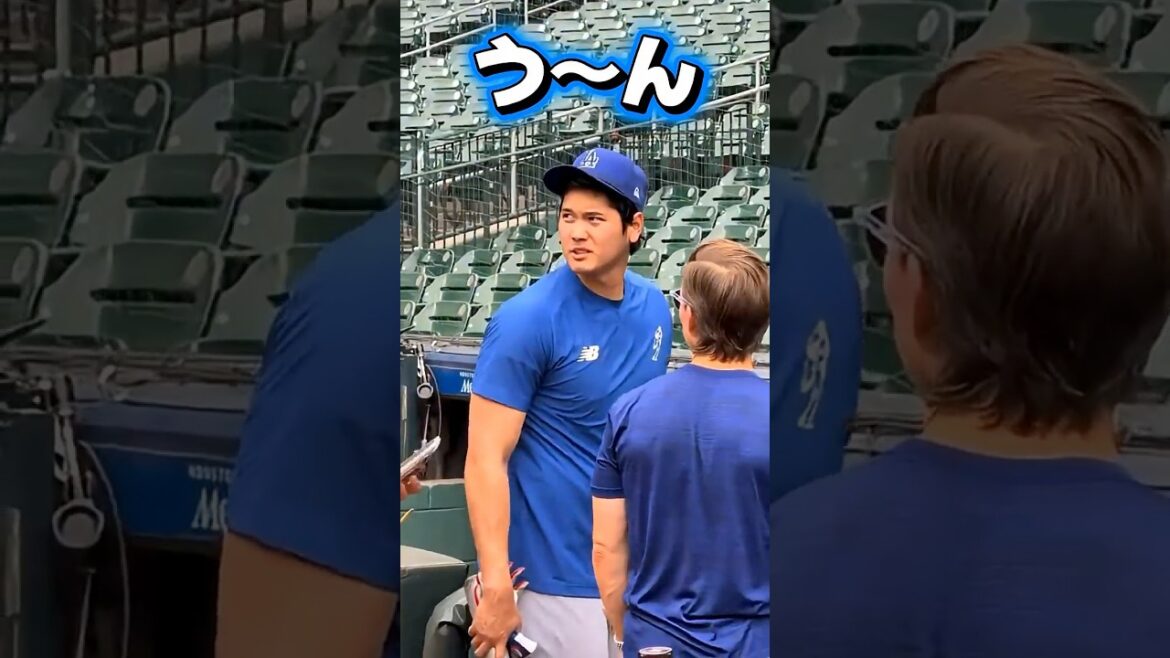 A quelle heure manges-tu du riz ? Shohei Otani !
