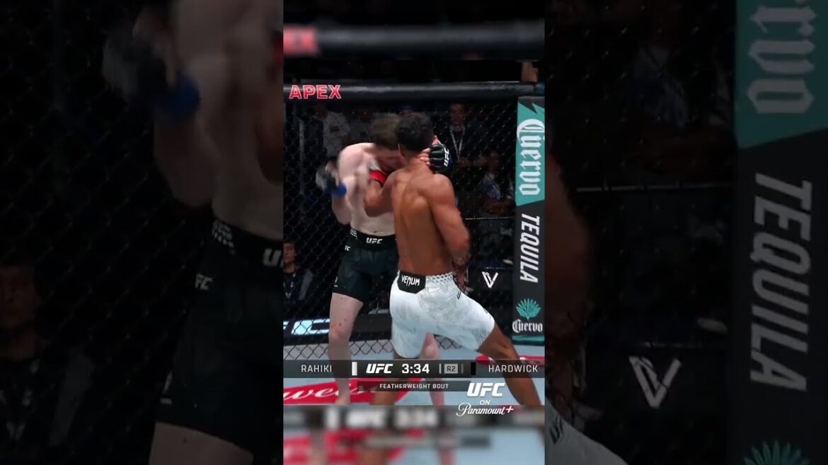 Tête dure Hardwick 🤯 #ufcvegas114
