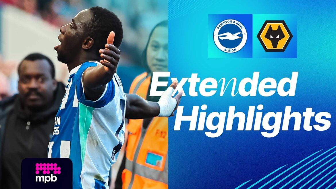 FAITS SAILLANTS ÉTENDU | Brighton contre les loups | Première Ligue FAITS SAILLANTS ÉTENDU | Brighton contre les loups | Première Ligue
