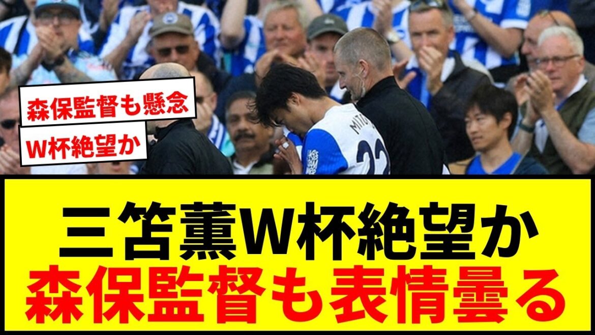 [Breaking News]Kaoru Mitoma est-il désespéré pour la Coupe du Monde ? Il s'est déchiré le muscle arrière de la cuisse gauche et a besoin de 2 mois pour récupérer complètement. Le manager Moriyasu a également commenté : « Ce n'est pas une blessure légère. »
