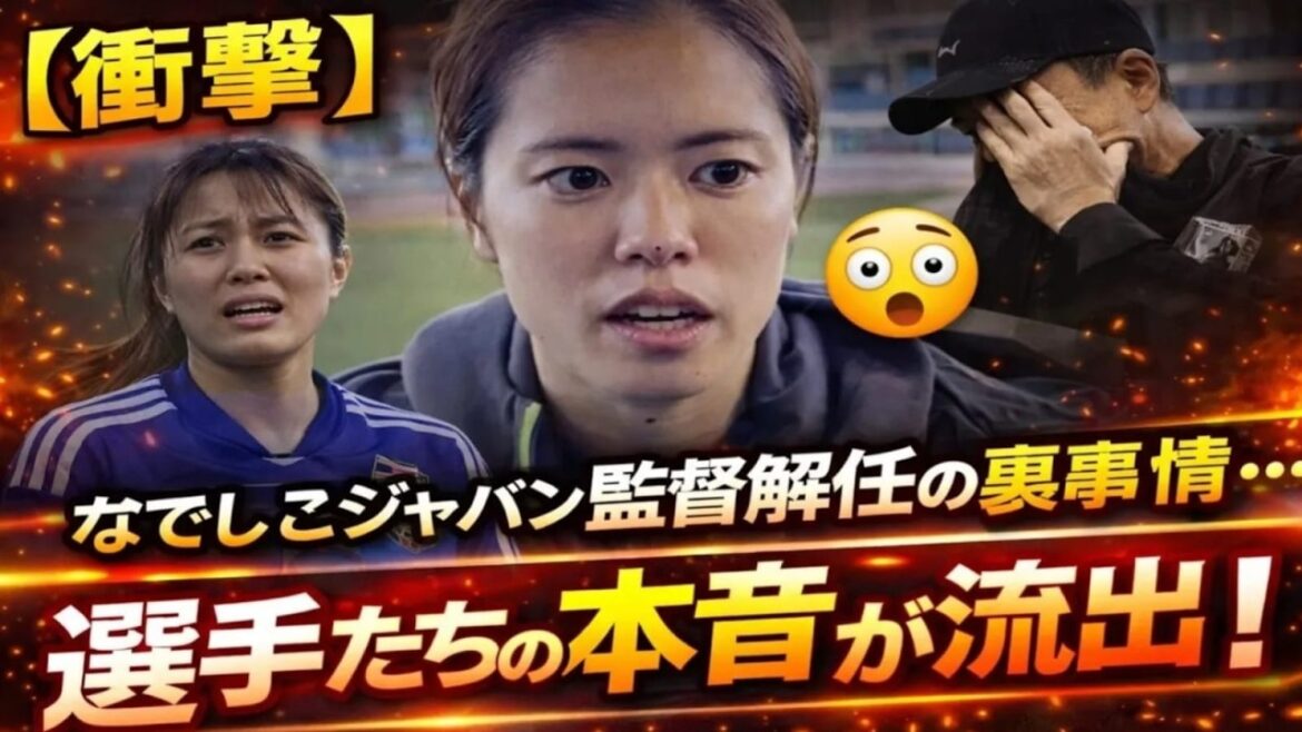 [Choquant]Les circonstances dans les coulisses du limogeage de l'entraîneur de Nadeshiko Japon... Les véritables sentiments des joueurs révélés ! Le monde a été choqué par cette annonce choquante.[Réactions à l'étranger]