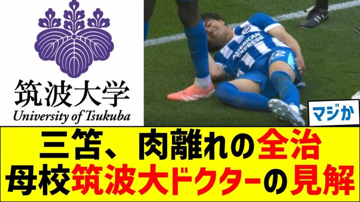 Récupération complète des tensions musculaires et des tensions musculaires : avis du médecin de mon alma mater Tsukuba University Soccer Club Récupération complète des tensions musculaires et des tensions musculaires : avis du médecin de mon alma mater Tsukuba University Soccer Club
