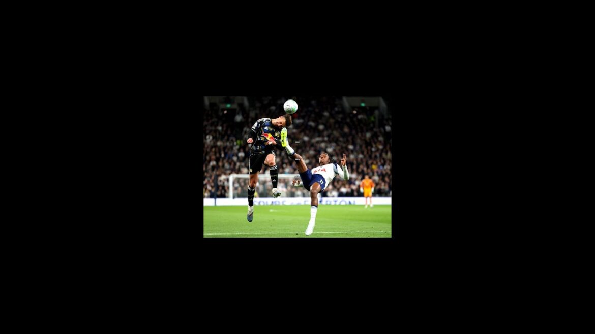 Tottenham prend deux points d'avance sur la zone de relégation
