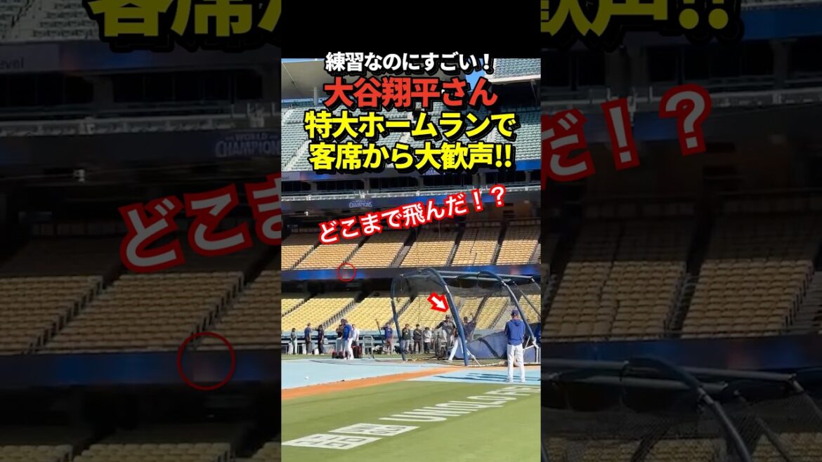 [Non. 7 c'est bien]Shohei Otani frappe un énorme home run ! Même s’il s’agissait d’un entraînement au bâton, il y a eu des acclamations et des applaudissements !