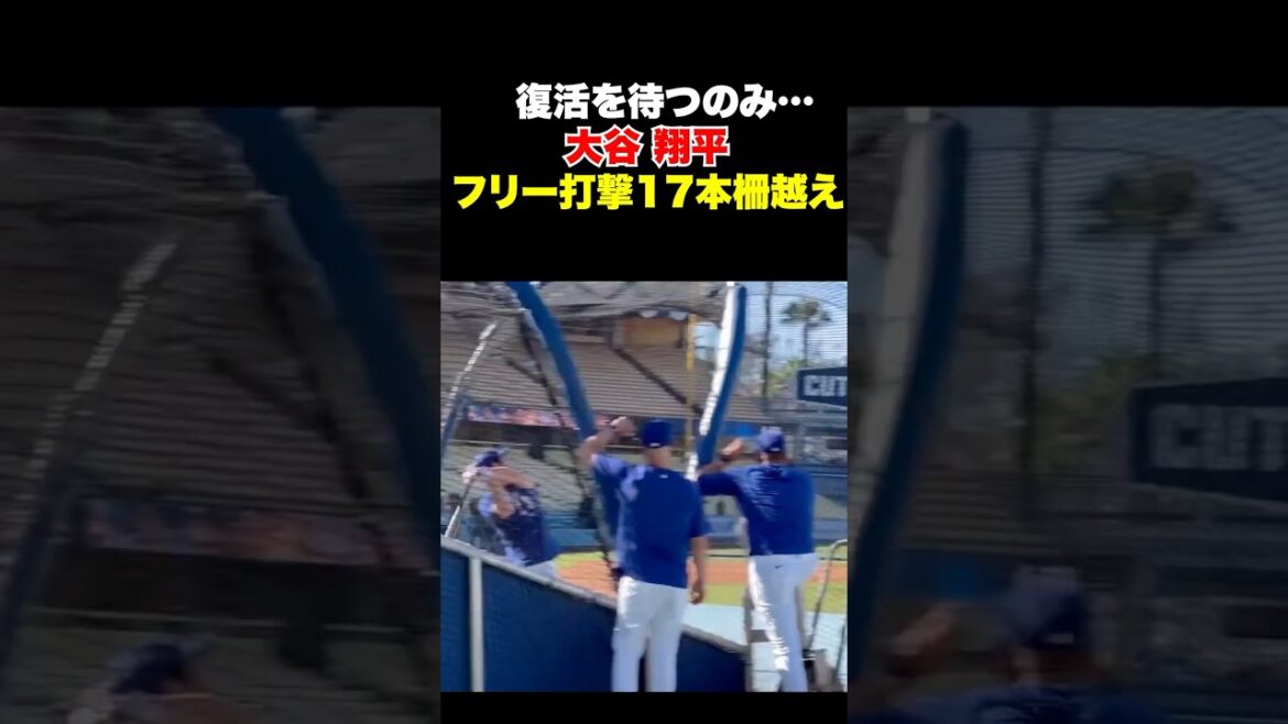 Shohei Otani a franchi 17 obstacles avec un bâton gratuit🔥J'attends juste son retour✨