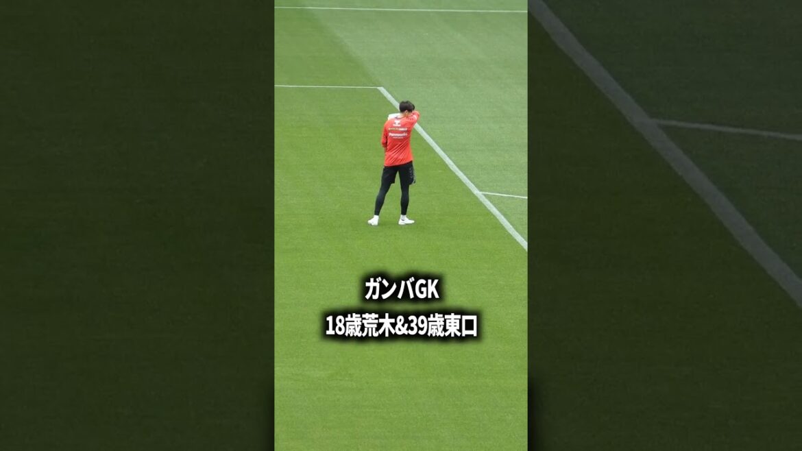 Gamba GK est dur