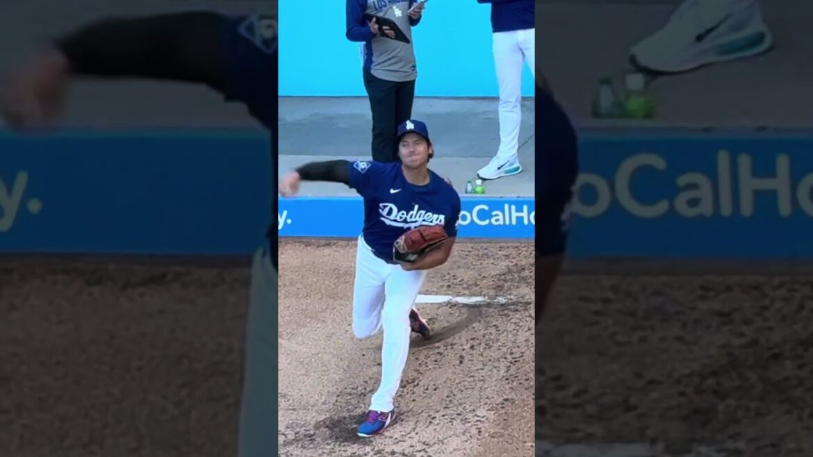 [Tête Stylo Stylo 💙 Balle ! ]Mignon ~ Lancement de l'enclos des releveurs ![Non. 1 DH Shohei Ohtani]Dodgers vs Giants @ Dodger Stadium 11/05/26 #Shohei Ohtani #shoheiohtani #dodgers