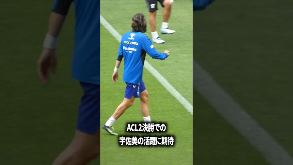 Fais de ton mieux, Usami !