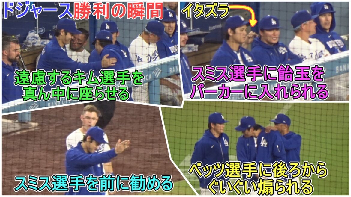 💎 Moment de victoire des Dodgers 💎 Encourageant fermement depuis l'abri[Shohei Ohtani]contre les Giants de San Francisco ~ Match final de la série ~ Shohei Ohtani contre Giants 2026