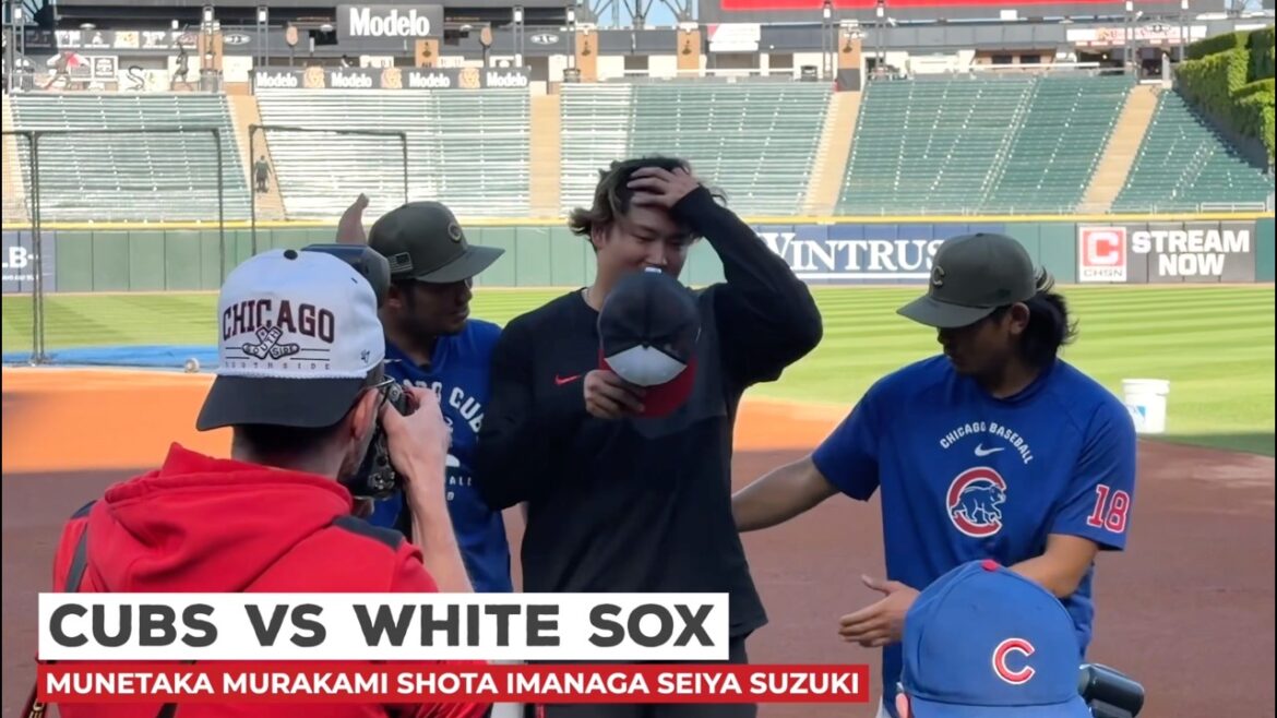 Munetaka Murakami Shota Imanaga Seiya Suzuki Cubs 🆚 White Sox #yodeportes Munetaka Murakami Shota Imanaga Seiya Suzuki Cubs 🆚 White Sox #yodeportes