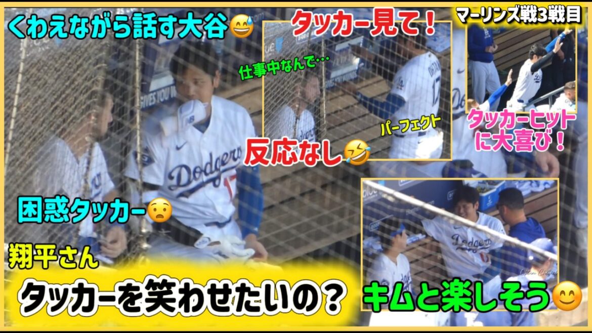 Shohei Otani veut faire rire Tucker !?️ #Vidéo locale de Shohei Otani #Shohei Otani dernières nouvelles #ohtanishohei#