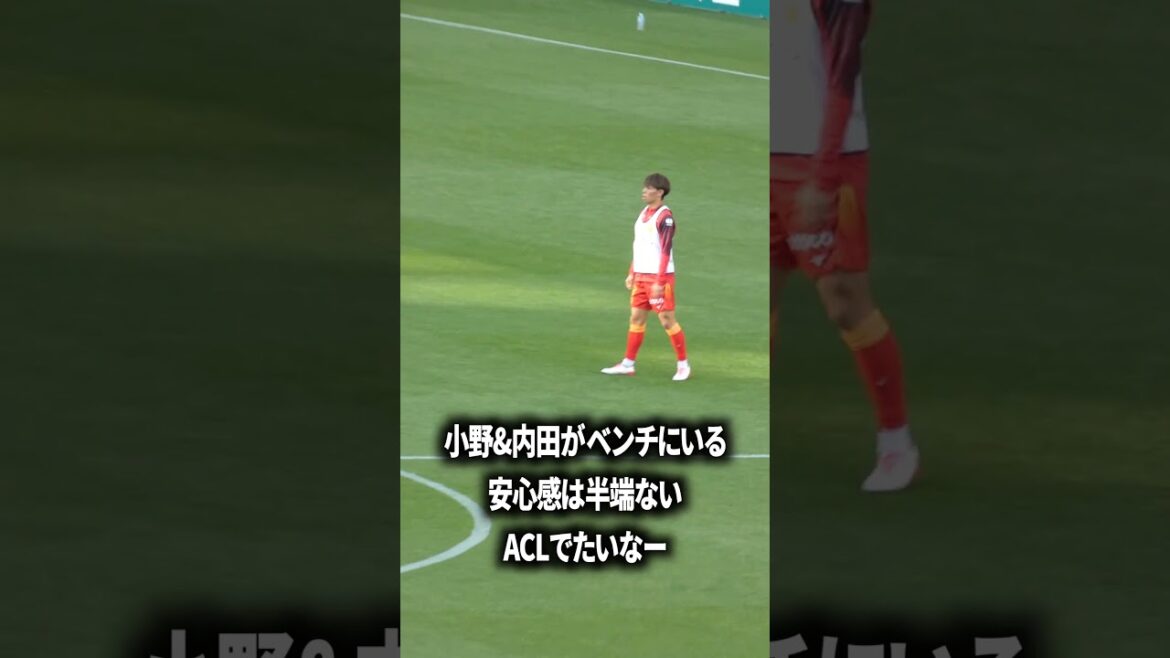 Le sentiment de sécurité d'Ono et Uchida