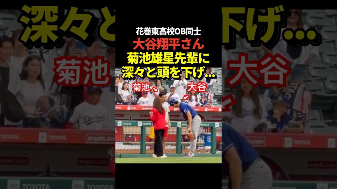 Shohei Otani discute avec le senior Yusei Kikuchi avant le match ! Anciens élèves du lycée Hanamaki Higashi