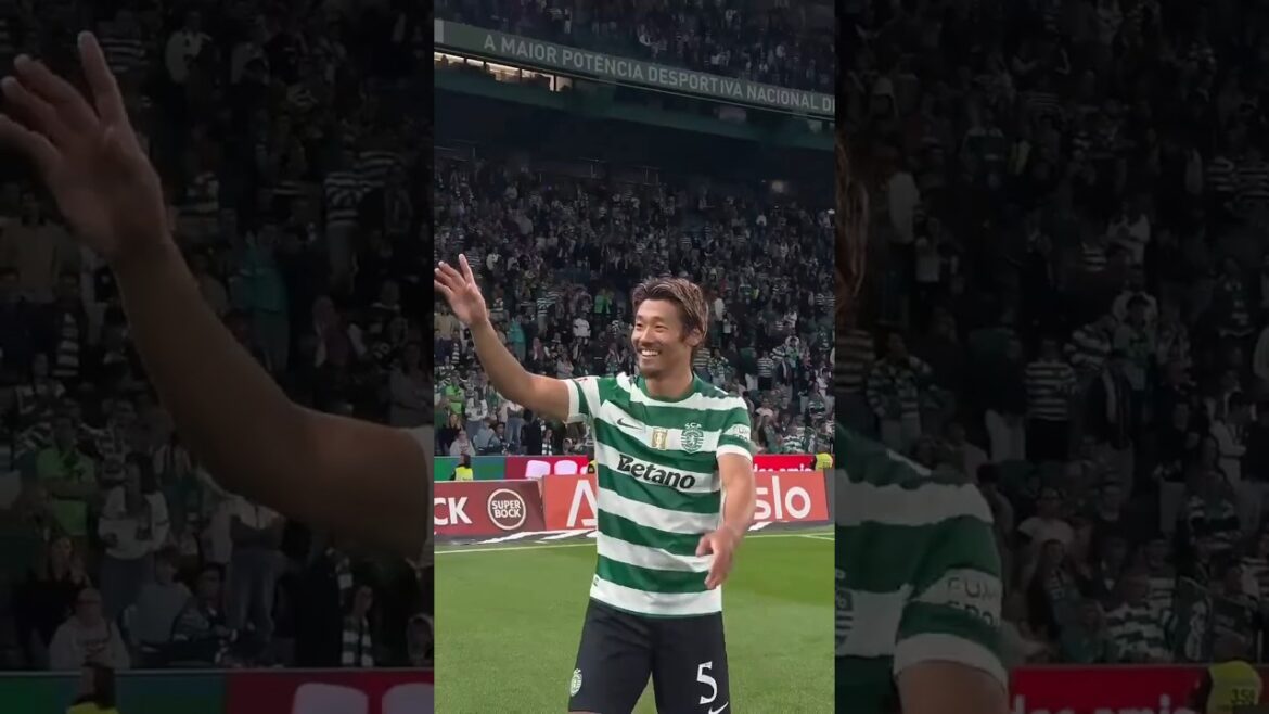 La dernière vague de notre maillot 5 La dernière vague de notre maillot 5