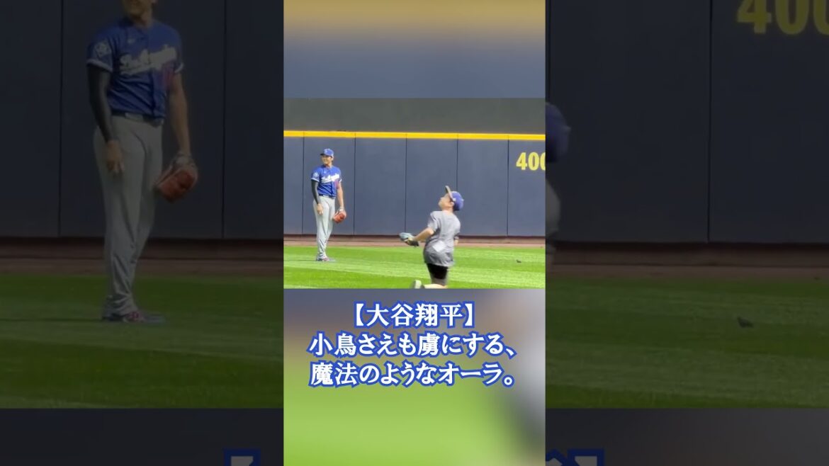 [Shohei Otani]Une aura magique qui captive même les petits oiseaux.