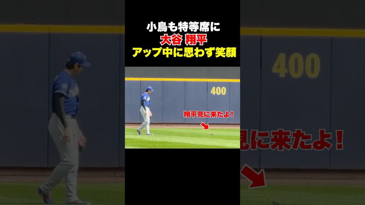 Un visiteur inhabituel et inattendu est apparu lors du téléchargement de Shohei Otani... !! ️