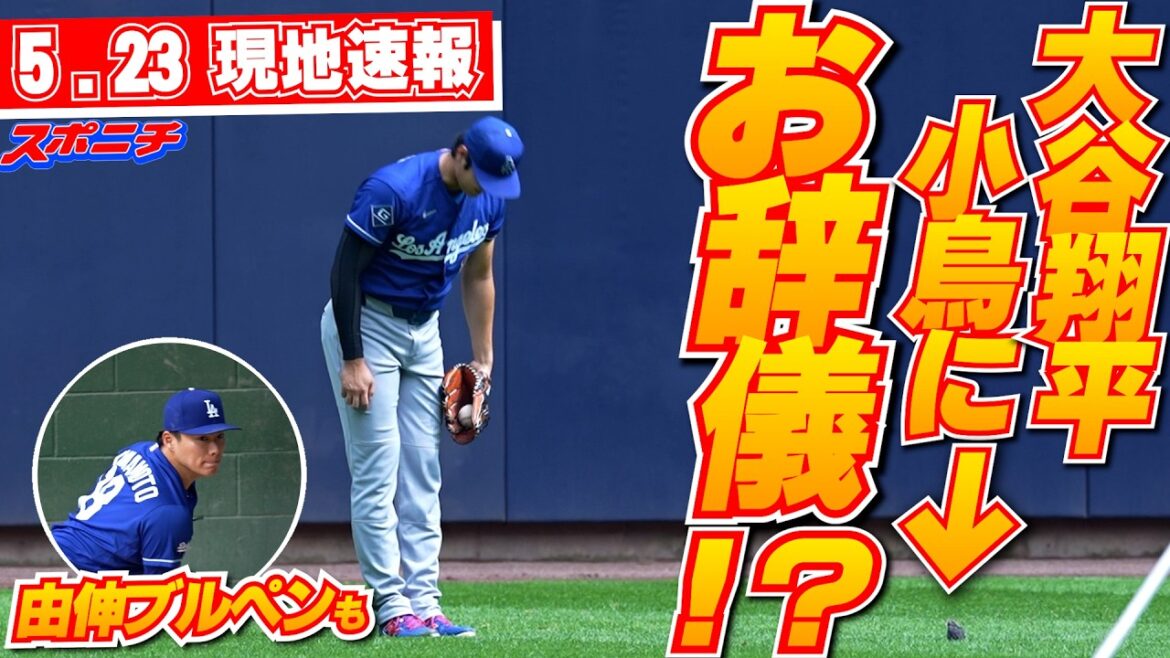 [Shohei Otani et Yoshinobu Yamamoto, informations locales du 23 mai]Sourires face à cet « événement » inattendu. Ils se regardent avec le petit oiseau qui veillait sur eux et terminent leur entraînement en s'inclinant.