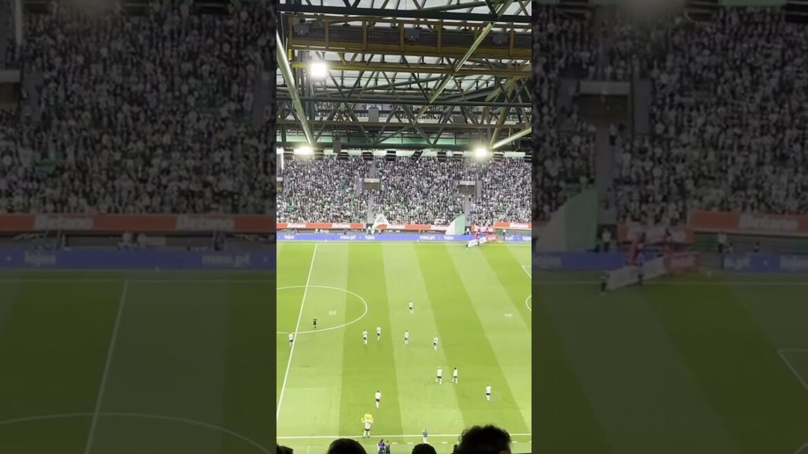 Morita honoré lors du dernier match du Sporting à Alvalade #sporting #morita