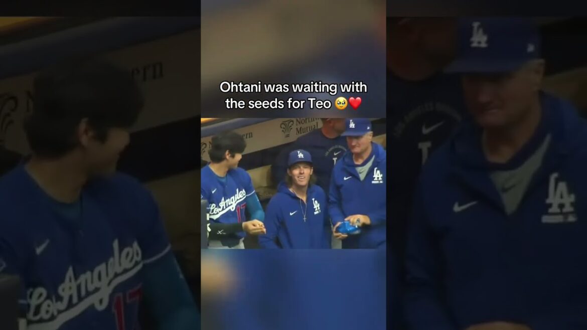 Shohei Ohtani et Teoscar Hernandez ❤️