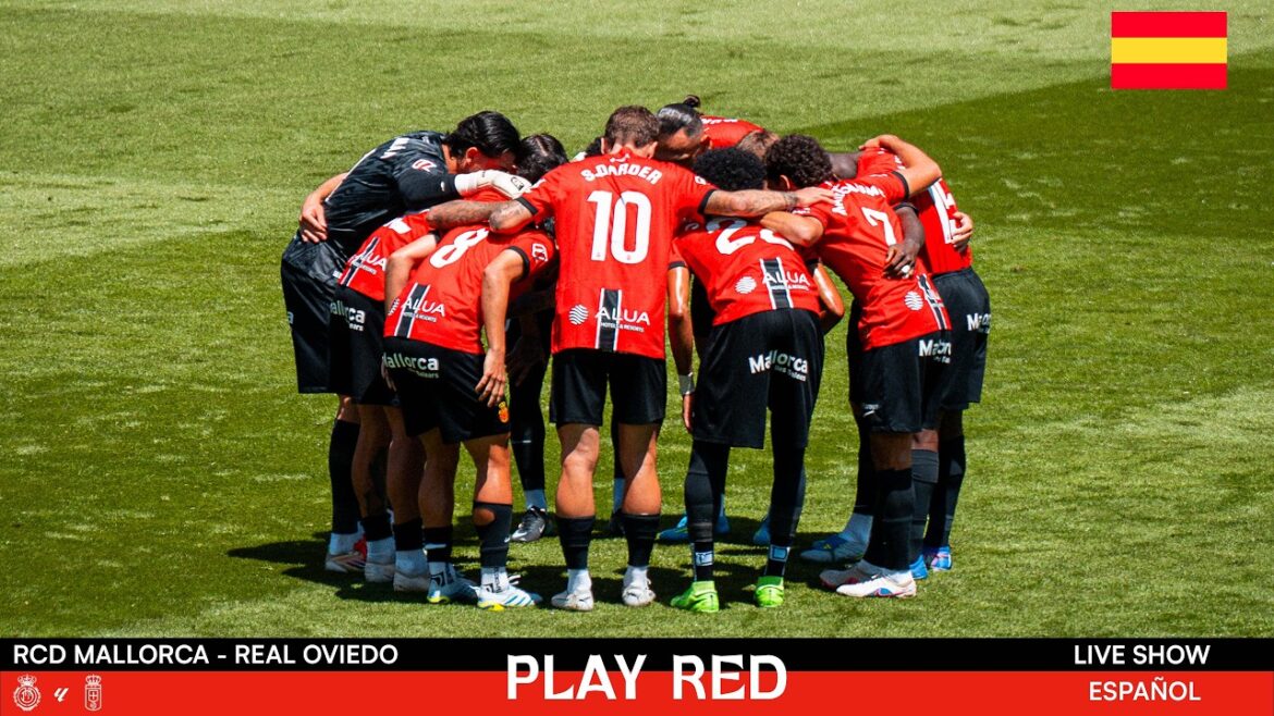 💥RCD MAJORQUE vs REAL OVIEDO EN DIRECT ! | Analyses, opinions et PLUS sur PLAY RED LIVE 🔴 💥RCD MAJORQUE vs REAL OVIEDO EN DIRECT ! | Analyses, opinions et PLUS sur PLAY RED LIVE 🔴