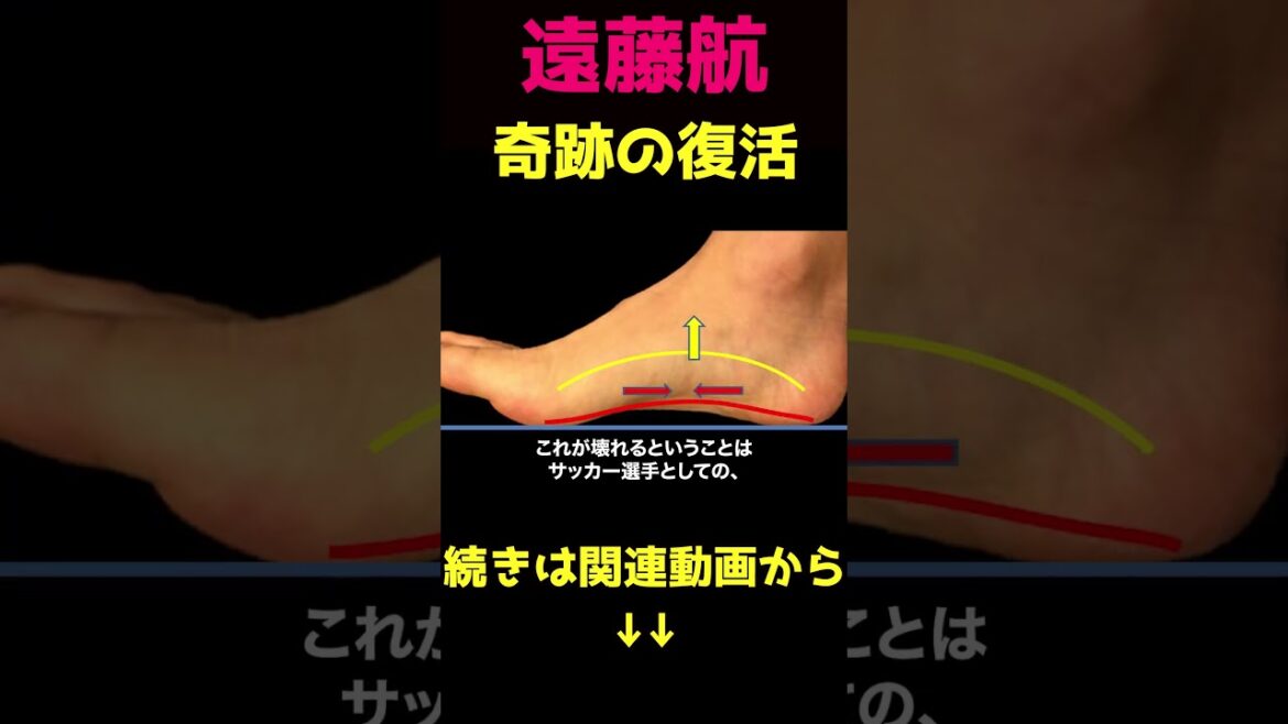 Wataru Endo arrive miraculeusement à temps pour la Coupe du Monde③