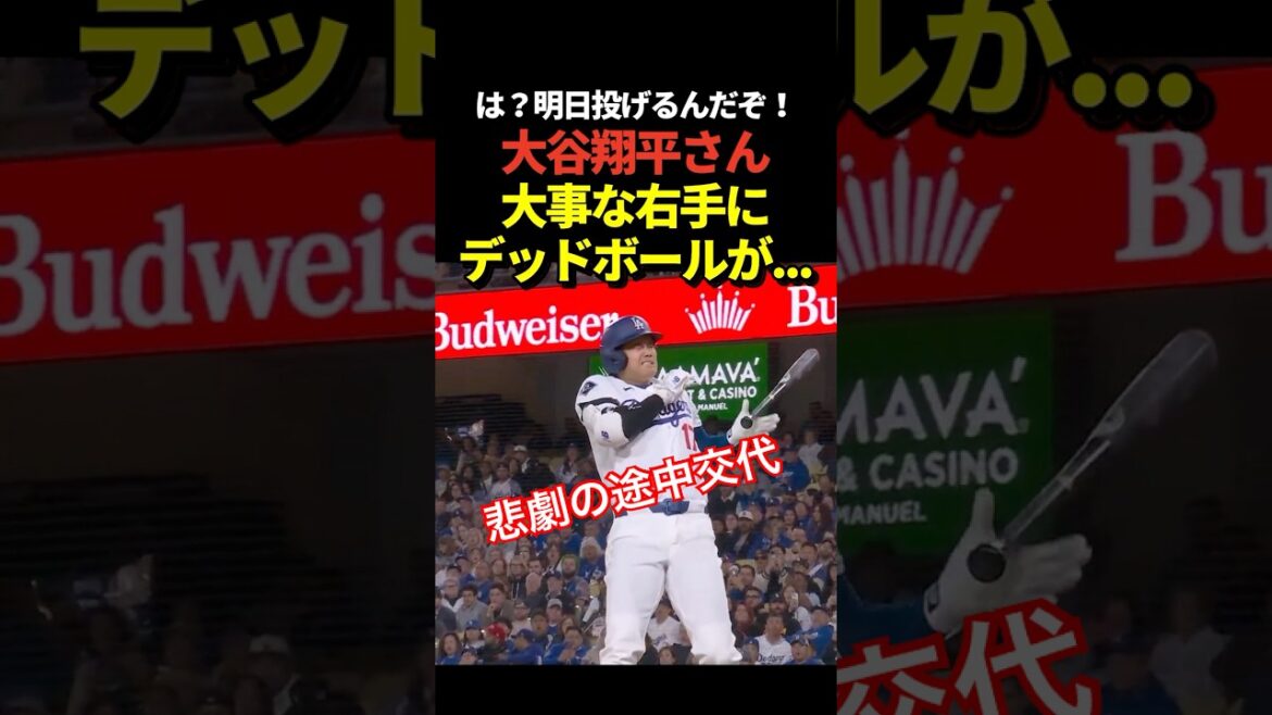 Rentrer à la maison 🏠 Balle morte à Shohei Otani ! Je devais être titulaire demain, mais je suis touché avec la main droite !