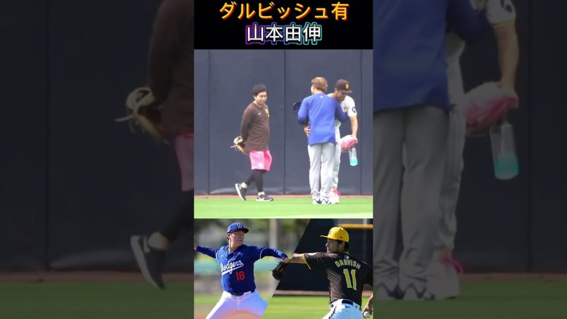 Dodgers Yoshinobu Yamamoto Padres Darvish va saluer Yu Darvish, les gants sont roses