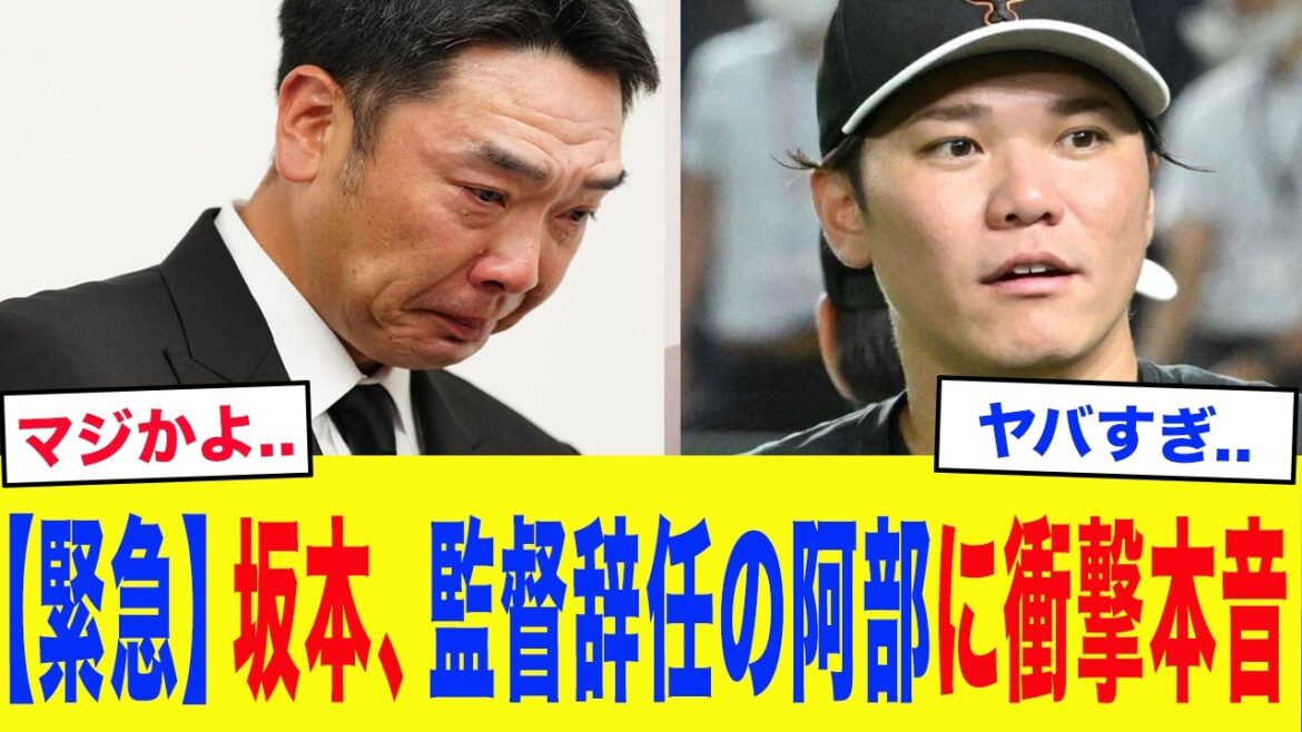 "Il y a beaucoup de choses auxquelles je pense personnellement..." Hayato Sakamoto est choqué par l'arrestation et la démission surprise de Shinnosuke Abe... Les cris déchirants des Neuf restants et les problèmes auxquels est confronté le nouveau système Hashigami sont dangereux...[Yomiuri Giants]