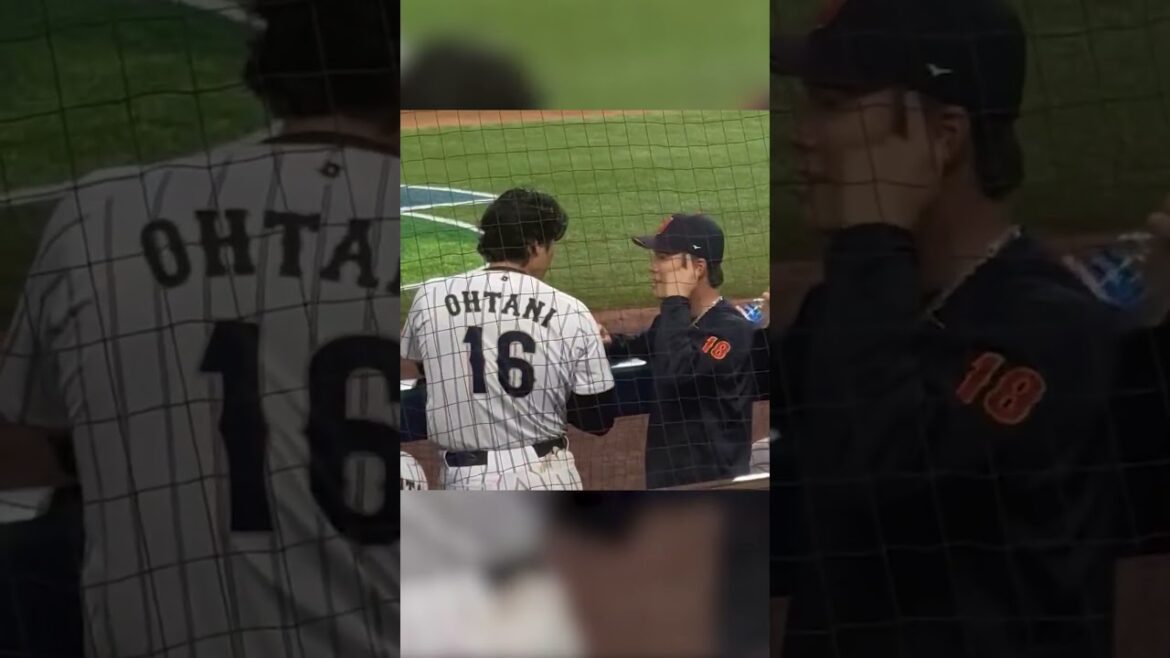 [Shohei Otani et Yoshinobu Yamamoto]Yoshinobu reste seul et attend. Un chemin de retour parfait qui transmet le lien entre vous deux.