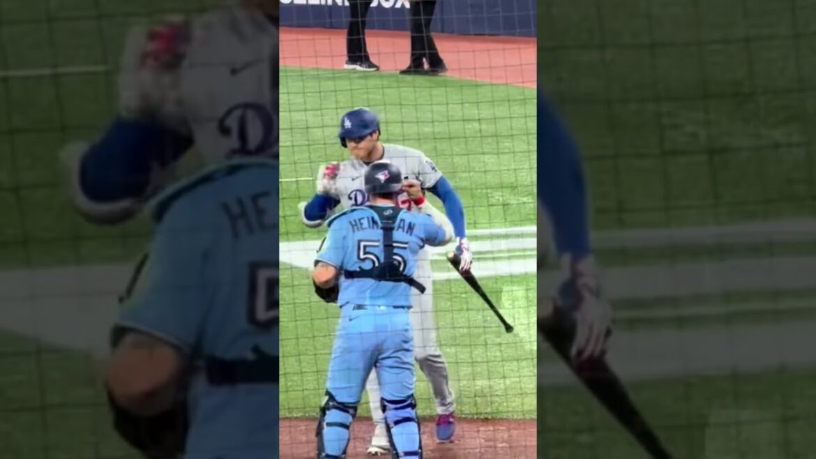 [Shohei Otani]Retour en direction du sol. Une scène de bataille digne d'un film qui vous fait monter les larmes aux yeux rien qu'en la regardant.
