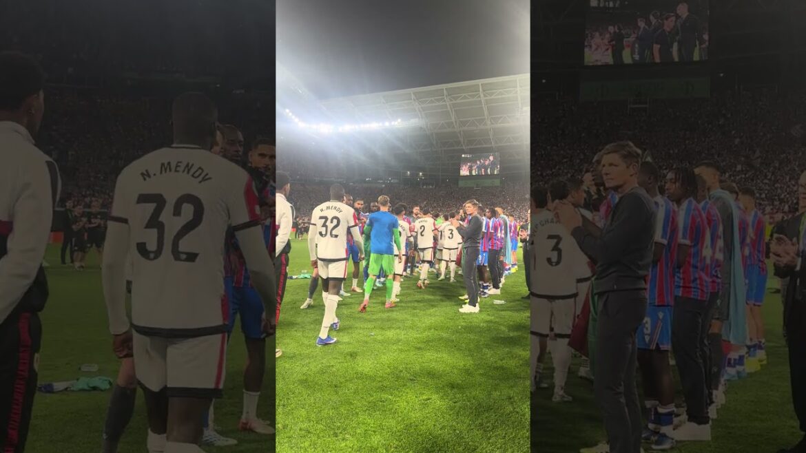 Une haie d'honneur pour nos adversaires 👏 ❤️🤍 #cristalpalace #uefa #champions