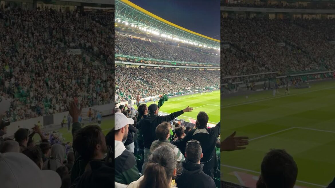 Adieu Morita #sportingcp #morita