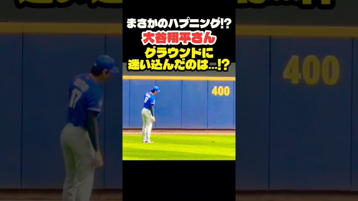 Shohei Otani Un incident inattendu sur le terrain !? ️ #Shohei Otani #mlb #shorts #dodgers