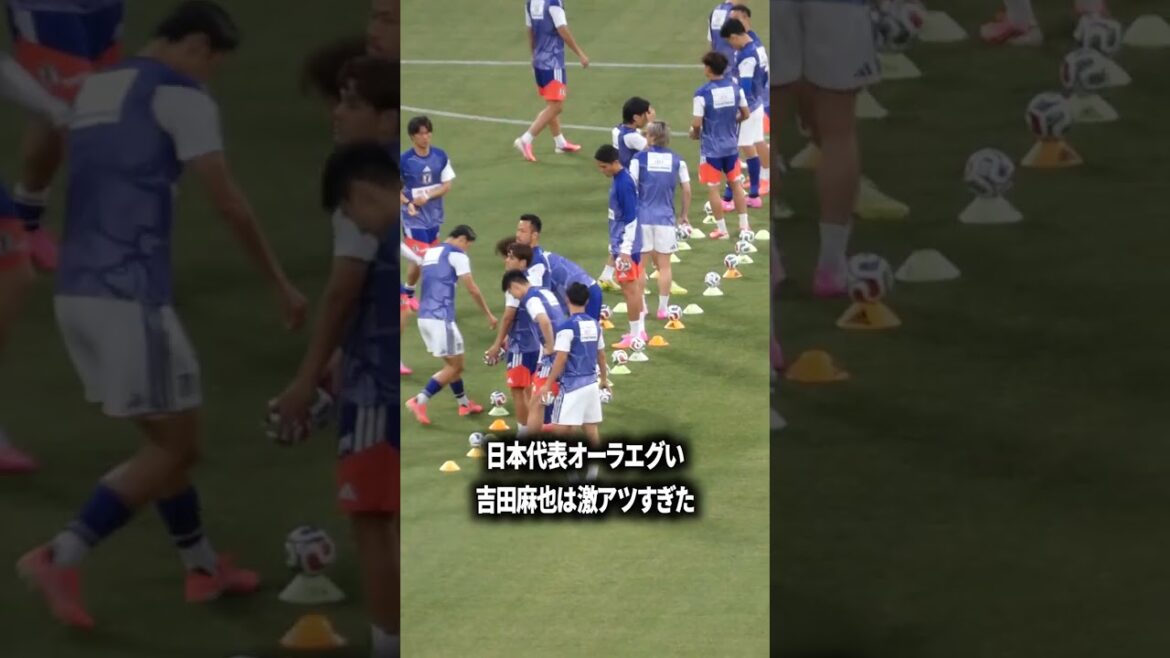 Maya Yoshida était si chaude