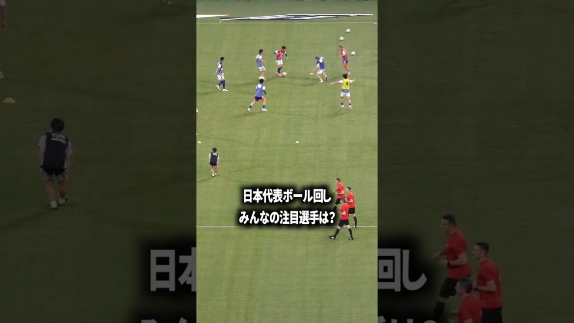 Quels sont les joueurs marquants de l'équipe nationale japonaise ?