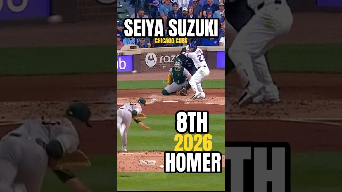 🚨 SEIYA FRAPPE ENCORE !! ️ 💥💣⚾ | 8ÈME Éveil HR Seiya Suzuki 🐻🇯🇵 #shorts #baseball #highlights