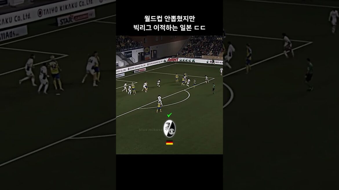 Le Japon passe dans la ligue majeure même s'il n'est pas sélectionné pour la Coupe du monde