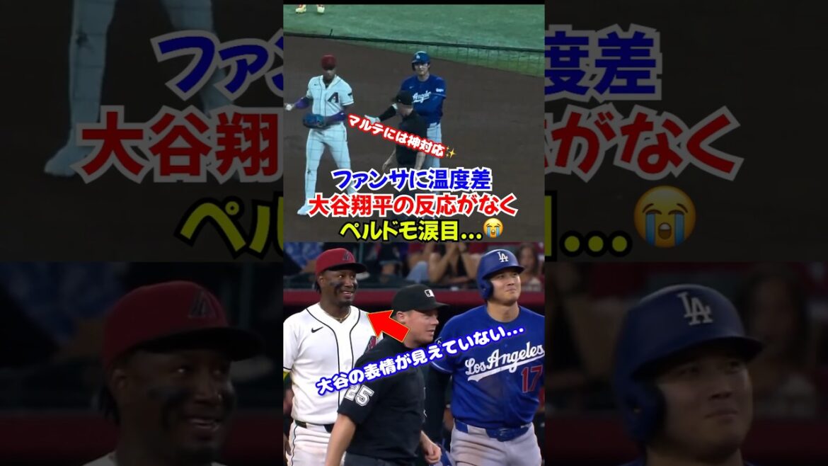 Une disparité entre Marte et Perdomo, qui soutiennent Shohei Otani, provoque un désastre… Perdomo se sent triste… Une disparité entre Marte et Perdomo, qui soutiennent Shohei Otani, provoque un désastre... Perdomo se sent triste...