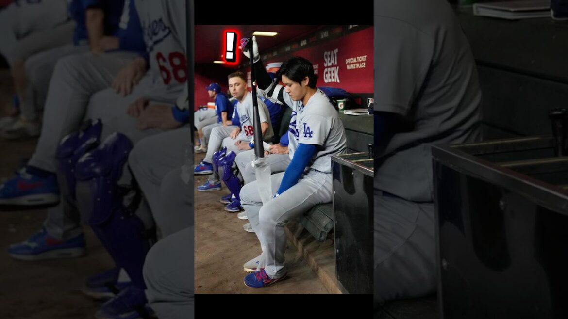 Shohei Otani des Dodgers a acheté une nouvelle batte Shohei Otani des Dodgers a acheté une nouvelle batte