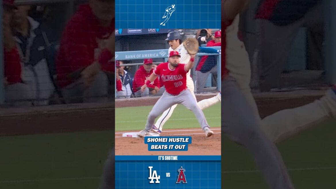 Shohei Ohtani bat Chopper pour un coup sur le terrain
