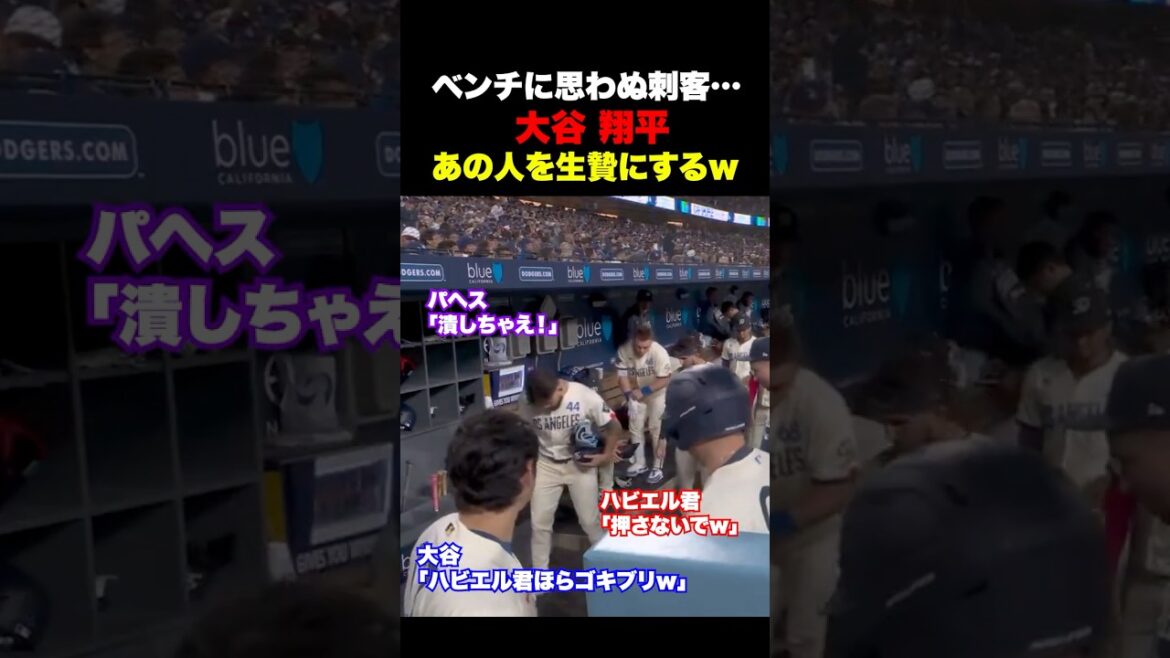 Shohei Otani sacrifie cette personne aux cafards mdr Shohei Otani sacrifie cette personne aux cafards mdr