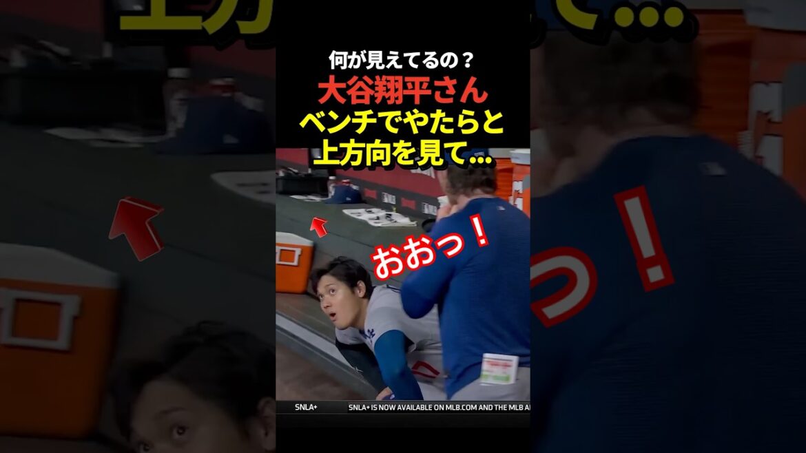 Shohei Otani lève les yeux sur le banc ! Dans le jeu, il a touché deux buts dès son premier tour au bâton !
