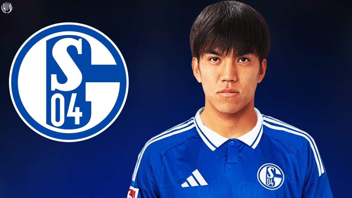 Satoshi Tanaka 2026 - Bienvenue à Schalke 04 - Compétences, buts et passes | HD