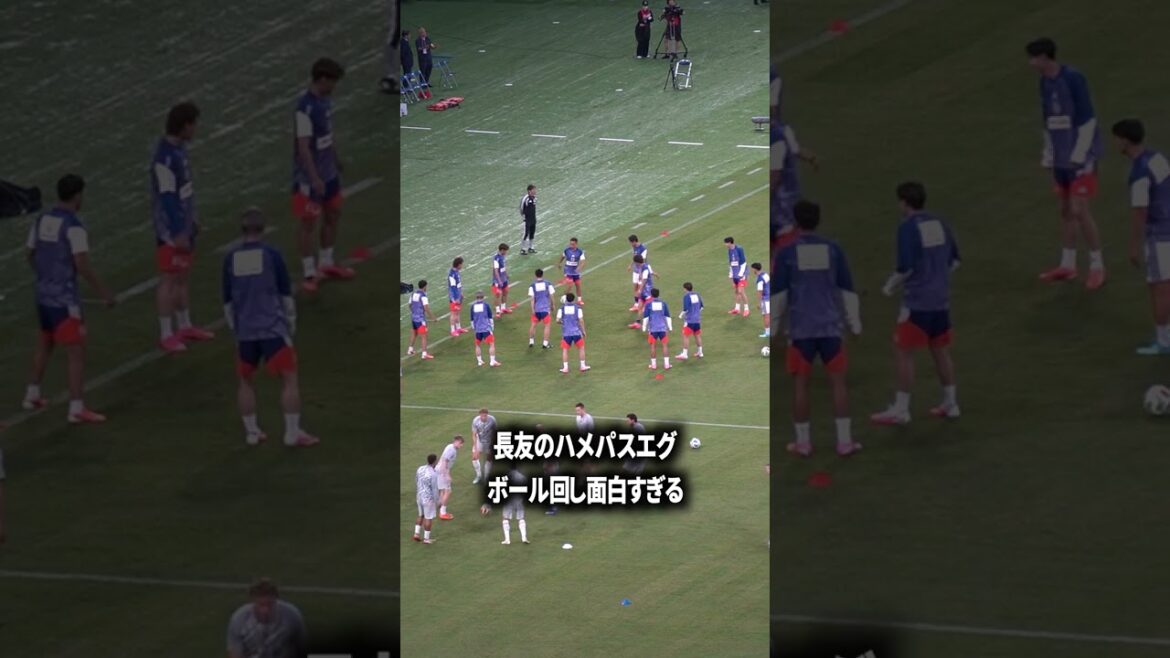 Oeuf Hamepa de Nagatomo Oeuf Hamepa de Nagatomo