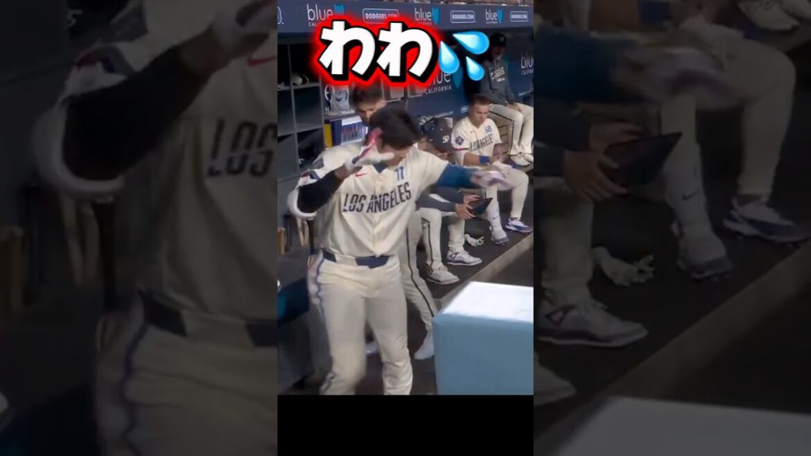 Shohei Otani des Dodgers surpris par des cafards Shohei Otani des Dodgers surpris par des cafards