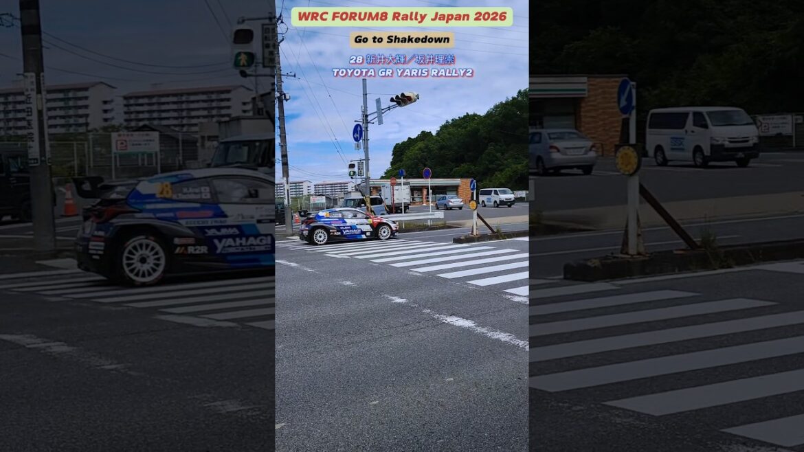 [RallyJapan2026]28 Daiki Arai / Rishitaka Sakai (Toyota GR Yaris Rally2) TOYOTA GR Yaris Rally2 #rallyjapan #wrc #rally #rallyjapan