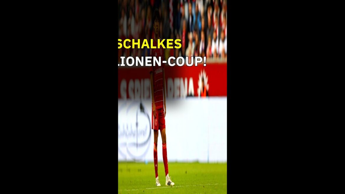 Schalke attrape Tanaka ! Responsable des négociations de transfert Schalke attrape Tanaka ! Responsable des négociations de transfert