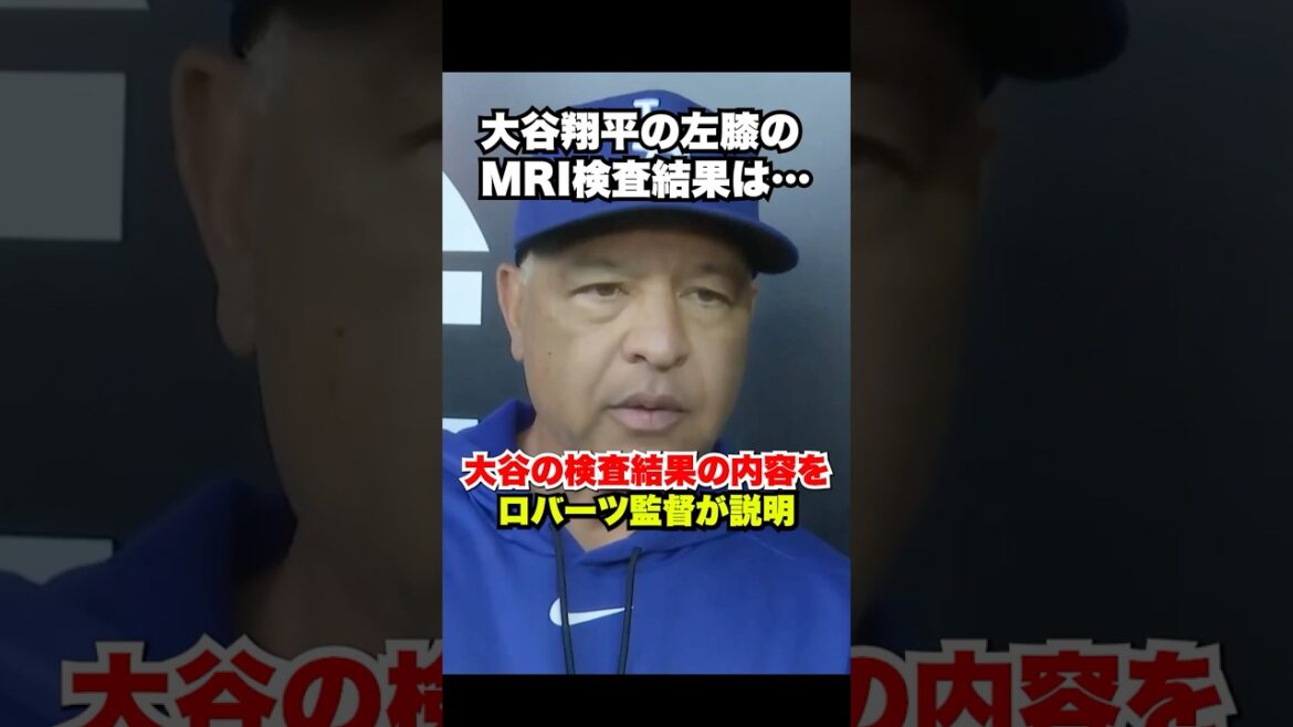 Dernières informations Le manager Roberts parle des détails du test IRM de Shohei Otani et de la façon de l’utiliser🔥 Dernières informations Le manager Roberts parle des détails du test IRM de Shohei Otani et de la façon de l'utiliser🔥