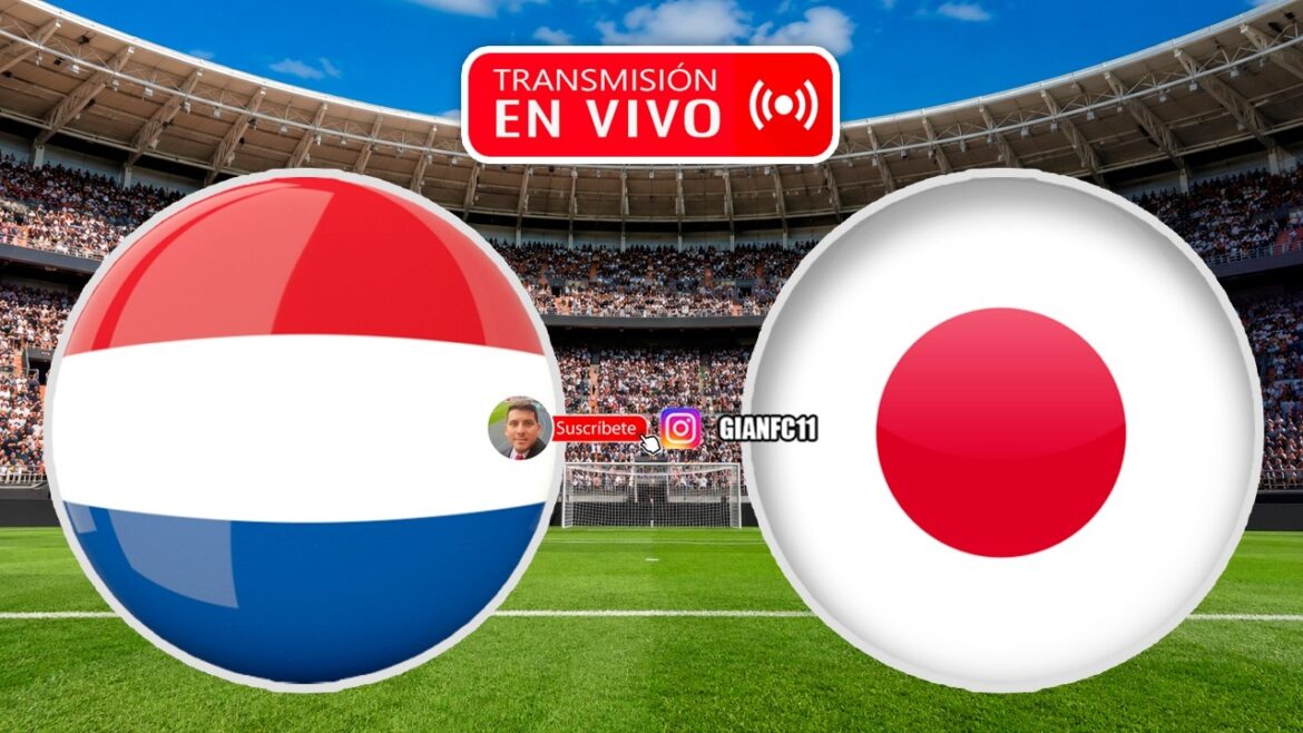 PAYS-BAS vs JAPON 🔴 EN DIRECT à la DATE 1 de la PHASE DE GROUPE DE LA COUPE DU MONDE | RÉACTION DES VENTILATEURS PAYS-BAS vs JAPON 🔴 EN DIRECT à la DATE 1 de la PHASE DE GROUPE DE LA COUPE DU MONDE | RÉACTION DES VENTILATEURS