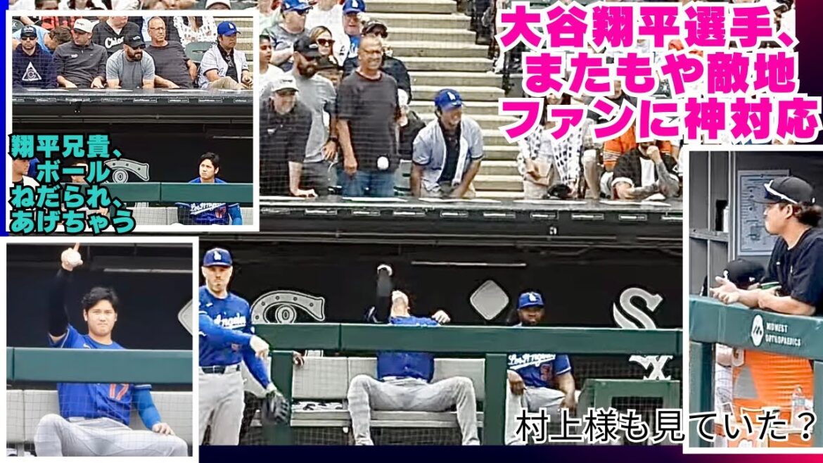 Vidéo locale intéressante !! ️Shohei Otani est à nouveau un dieu !! ️Au début, je pensais qu'il se moquait des fans qui voulaient le ballon, mais c'était en fait un cadeau ! Apparemment, il était un fan des White Socks, alors il est juste rentré chez lui pour éviter de se mettre en colère contre les autres fans ?